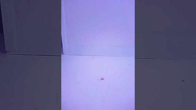 обзор на хенгам ( жевачка для рук смотреть онлайн