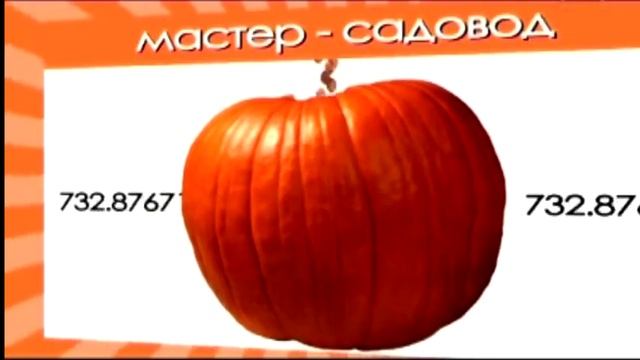 Строительная Мозаика