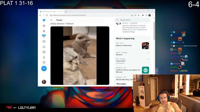 Tyler1's cats when they hear him yell смотреть онлайн