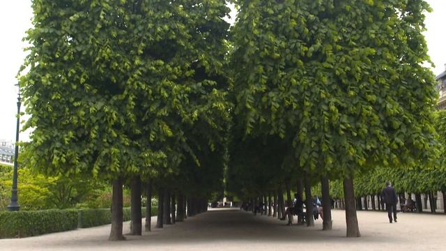 Le Palais Royal à Paris смотреть онлайн