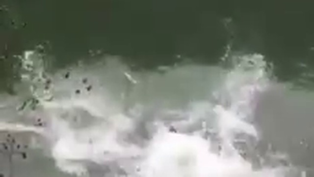 погоня за удочкой смотреть онлайн