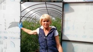 Перо в теплицу. Пух и перо как удобрение. Не выкидывайте старые подушки.