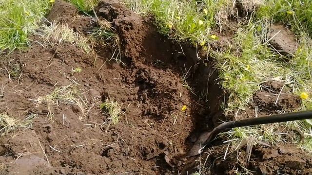 Коп на действующем колхозе. Осторожно! смотреть онлайн
