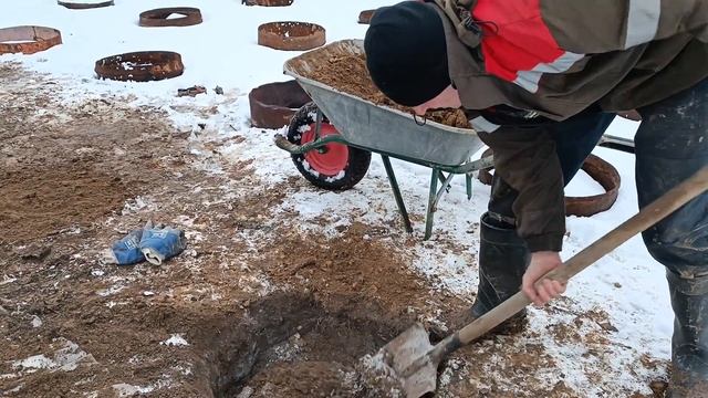 Посадка пионов в замёрзшую на 15 см землю. Яма глубиной 60 см, из них 40 см глина. Замена земли.