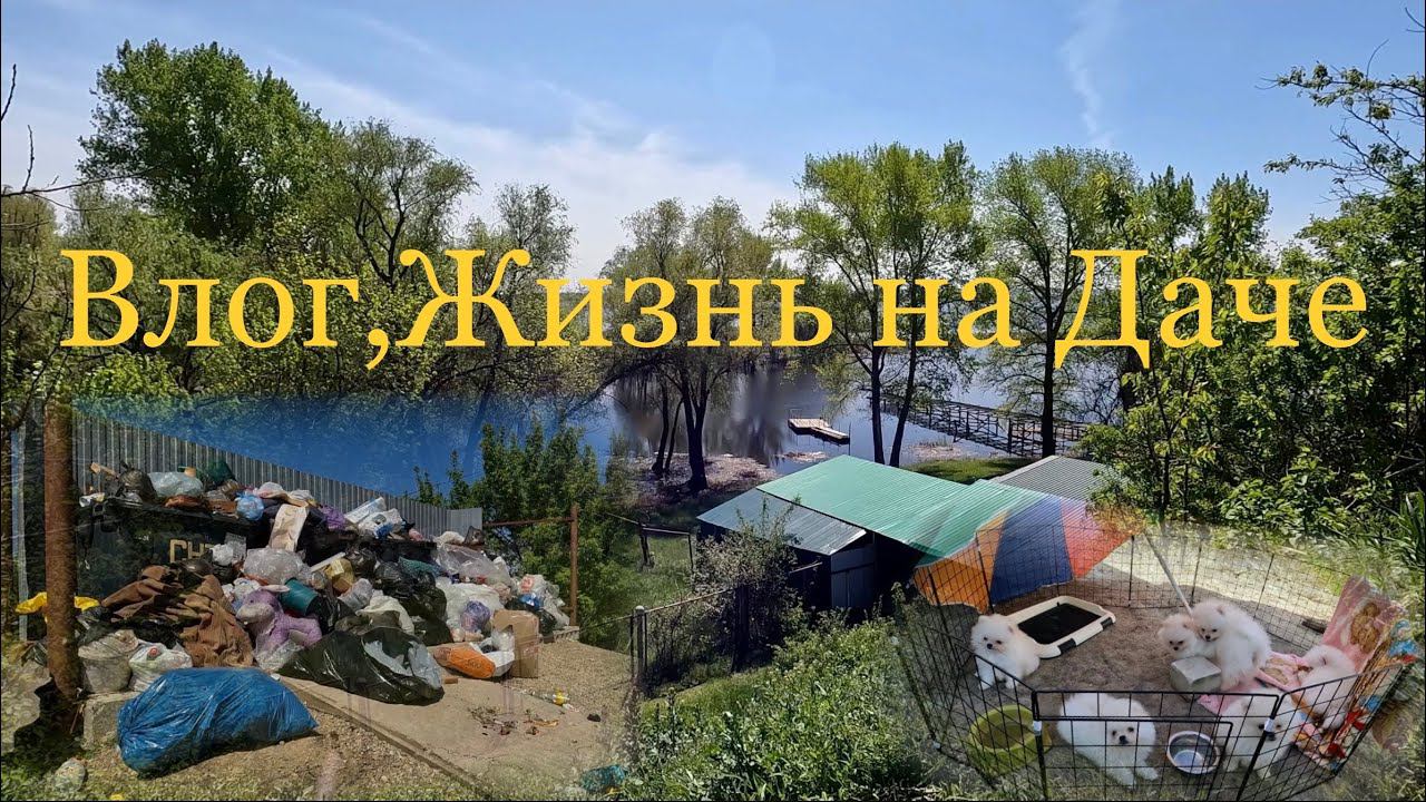 Белые медвежата греются на солнышке мусор не вывозят все гниет и воняет смотреть онлайн