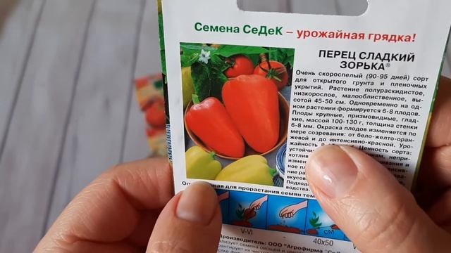 Семена  перца и лука чернушки. Сроки посева.