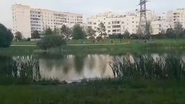 МОНОТЕИСТИЧЕСКИЕ РЕЛИГИИ..ИНГА ХОСРОЕВА смотреть онлайн