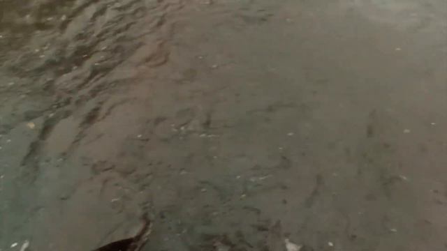 Draining a Massive Flooded Street смотреть онлайн