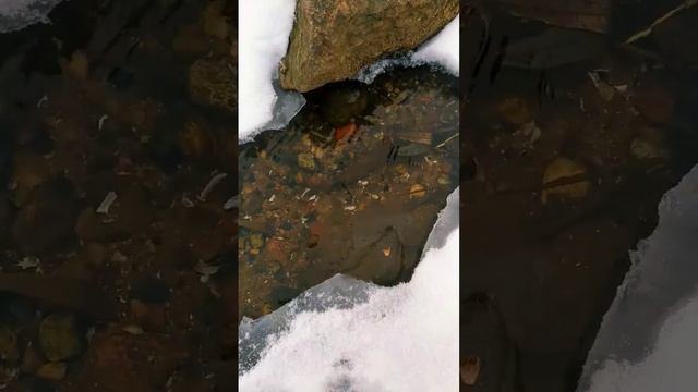 очищение #Вода #Камень #колокольчики смотреть онлайн