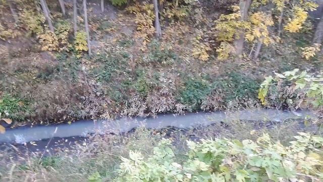 13 октября 2021 год. Сброс канализации в реку Темерник с ЖК "Суворовский". смотреть онлайн