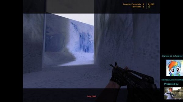 Counter Strike: Condition Zero: survivor (Expert competitive bots standard 16 wins game)