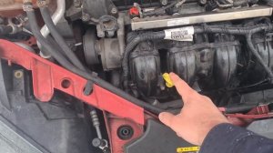 How to check the oil level on a car - Ford Focus MK2 2.0L Duratec