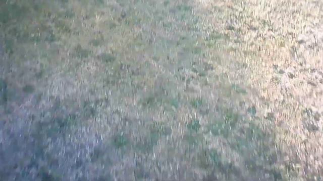 LYZRC L700 PRO My first flight. смотреть онлайн