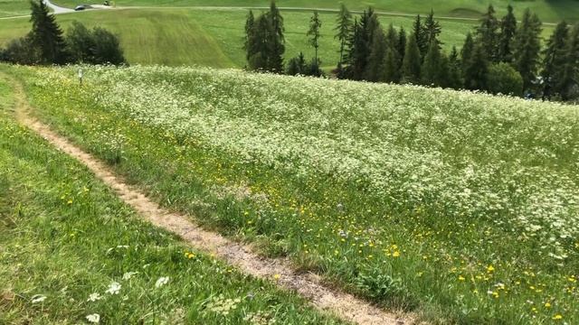 Val di Funes ITALY - Santa Magdalena смотреть онлайн