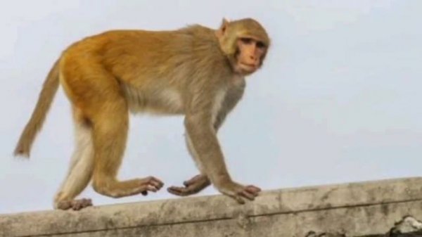 ನಮಗೆ ಬರುವ ಸಮಸ್ಯೆ ಗಳಿಗೆ ಸುಲಭ ಹಾಗೂ ಸರಳ ಪರಿಹಾರಗಳು