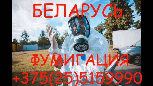 Фумигация домов от короеда, точильщика, древоточца фосфином (ph3) в Беларуси. смотреть онлайн