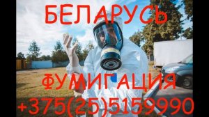 Фумигация домов от короеда, точильщика, древоточца фосфином (ph3) в Беларуси.