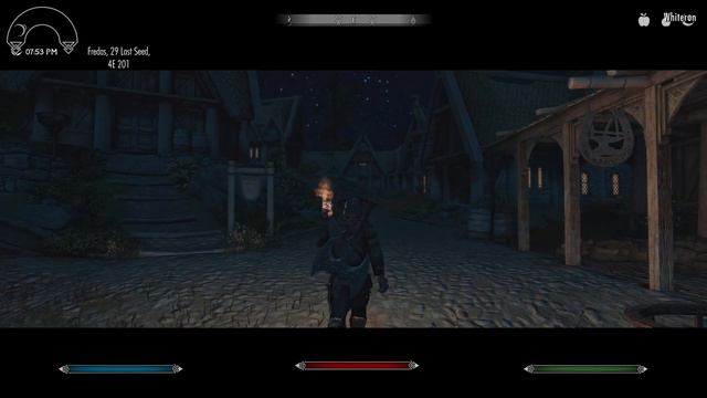 Skyrim SE - 8K Graphics and 200+ Mods смотреть онлайн