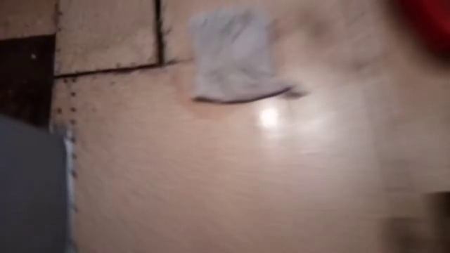 Как надо мыть пол