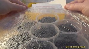 Посев Пекинской Капусты на Рассаду