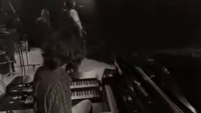 ночная птица смотреть онлайн