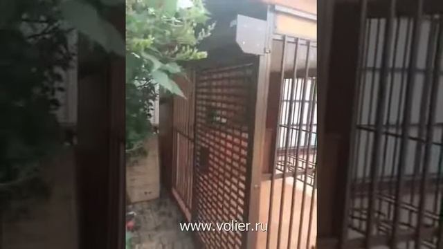 Автоматическая калитка в вольере смотреть онлайн