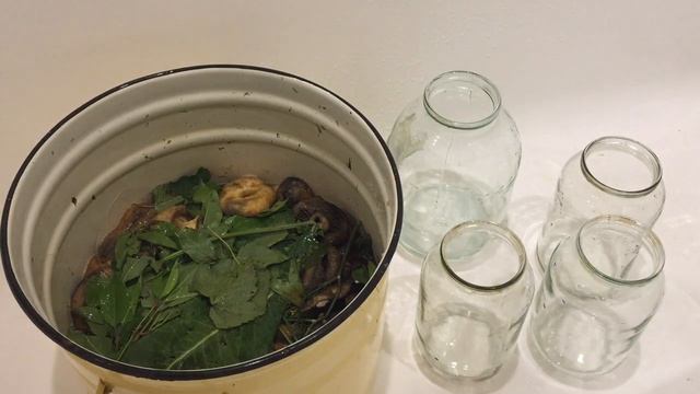 Психологический Консалтинг и Коучинг