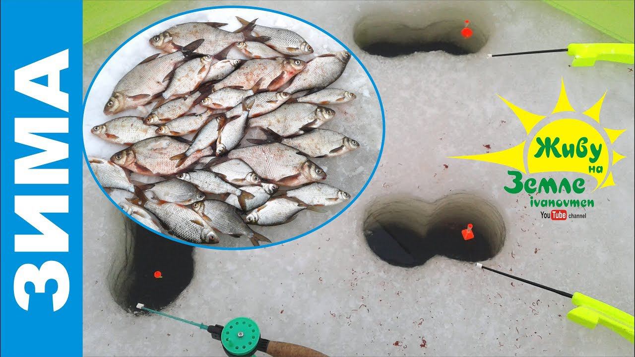 Ловля ЛЕЩА в палатке. Зимняя рыбалка на зимние донки смотреть онлайн