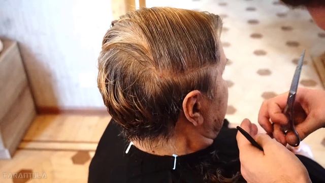 GRAY SHORT HAIRCUT - SILVER COLOR FOR MATURE WOMEN смотреть онлайн