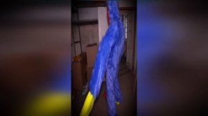 ТОП ВИДЕО С ХАГИ ВАГИ И КИСИ МИСИ ЧАСТЬ ВТОРАЯ