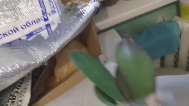 Пришла посылочка!Ура!Что в ней?🍀🌱🍀🌱🍀🌱🍀🌱 смотреть онлайн