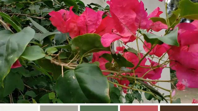How to Choose Paint Colors Inspired by Nature смотреть онлайн