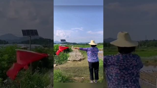 Масштабы. Китайские утки ??? bayoun.ru смотреть онлайн