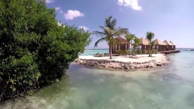 THE PROGRESSIVE HOUR IN THE MIX 536 # смотреть онлайн