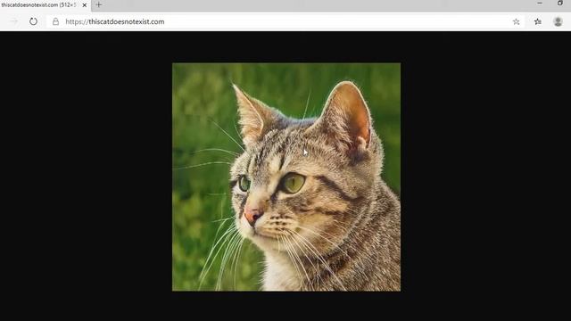 Генерируем несуществующих людей, котов и лошадей смотреть онлайн