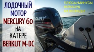 Лодочный мотор MERCURY 60 EFI на катере Berkut M-DC: обзор, плюсы-минусы, покатушки с вейкбордистом
