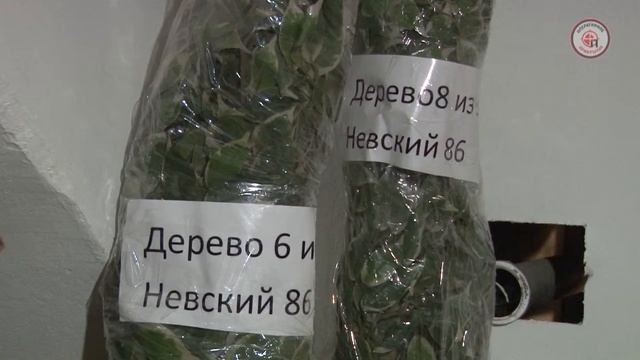 Мнение: обсуждаем вступивший в силу регламент внешнего вида летних террас в Санкт Петербурге смотреть онлайн