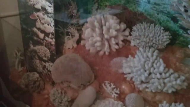 В музее мирового океана в Калининграде. Часть 2. Корабль Витязь. смотреть онлайн