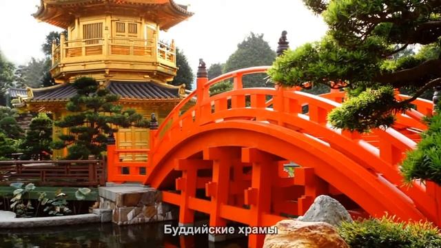 #1290. Буддийские храмы (Мировая культура) смотреть онлайн