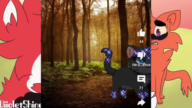 Реакция на Честер Кв @Cat_Berry775 #котывоители #warriorcats #wc #кв #коты #cat #хочуврек #реакция