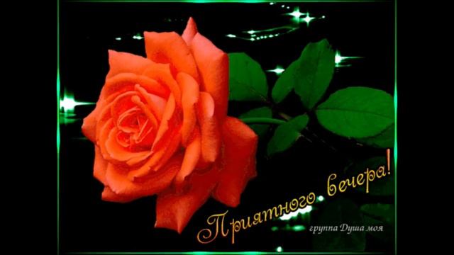 добрый вечер Анастасия Тиханович Каплей Света смотреть онлайн