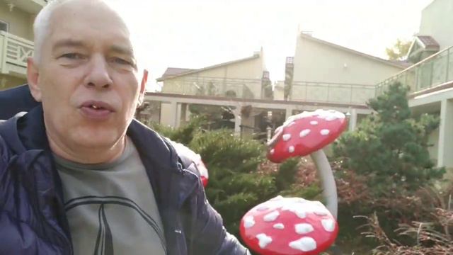 Еду в "alean DOVILLE " смотреть онлайн