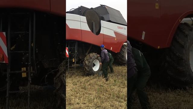 Готовимся к семинару смотреть онлайн