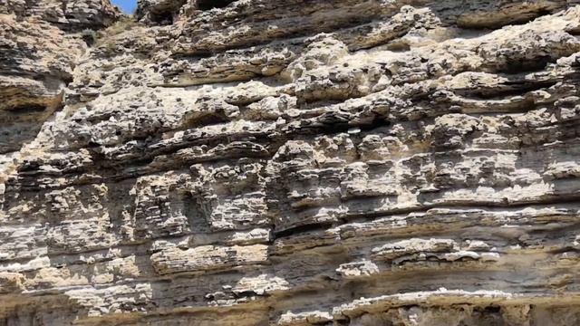 Там, где живут русалки!