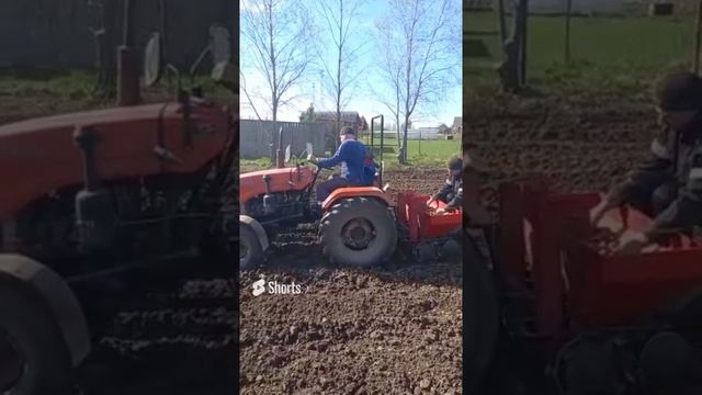 Посадка картошки смотреть онлайн