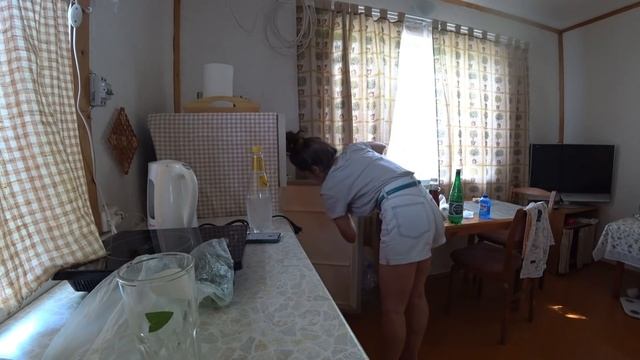 КАПУША! ?ну как так-то, ОПЯТЬ! ?Таффи и Сэдди не хотят дрессироваться ?КОТЯ КОТЯ...