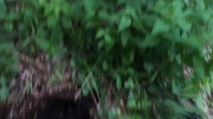 Коп металла с китайским металлоискателем ТХ-850.