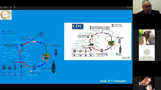 описторхоз+дикроц смотреть онлайн