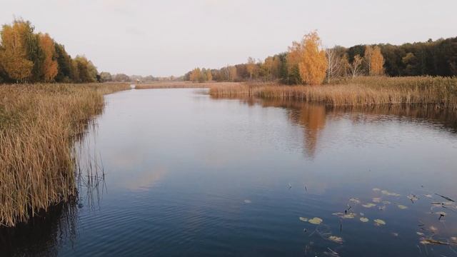 Уловистая насадка для крупного леща, Карася и Карпа. Картофельное тесто. смотреть онлайн