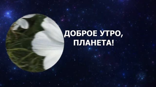 Доброе утро, Планета смотреть онлайн